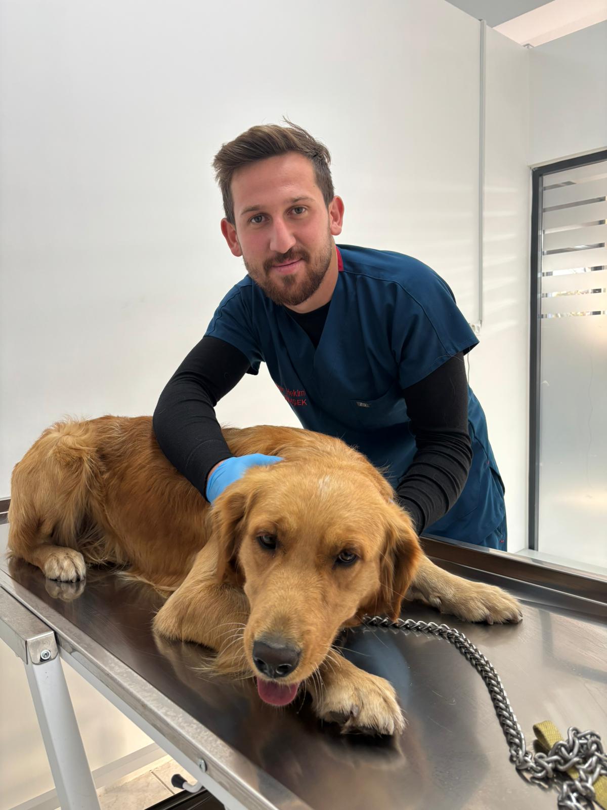 Sam-Vet Veteriner Kliniği görseli 9